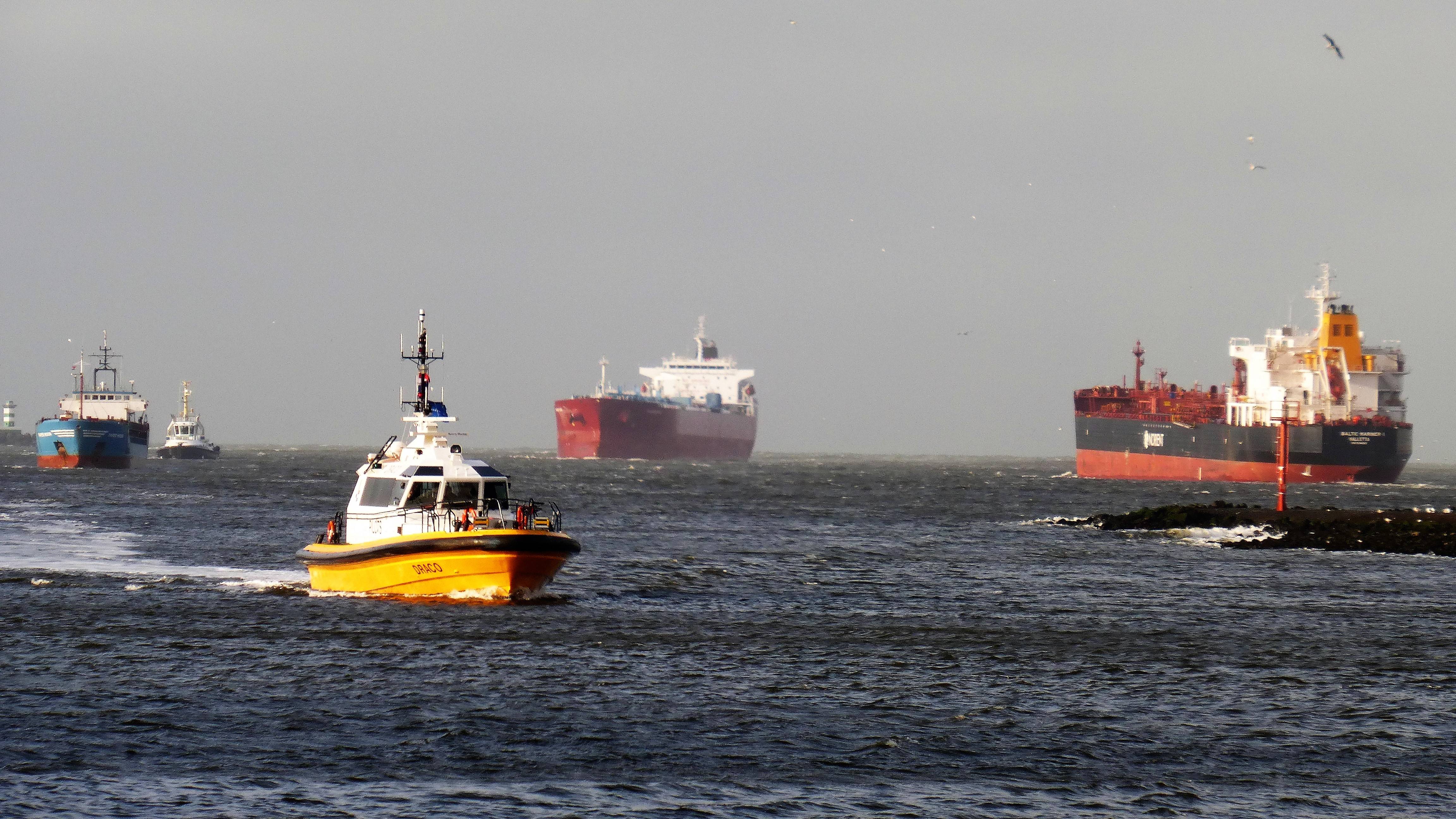 Pieren IJmuiden 01-01-18 